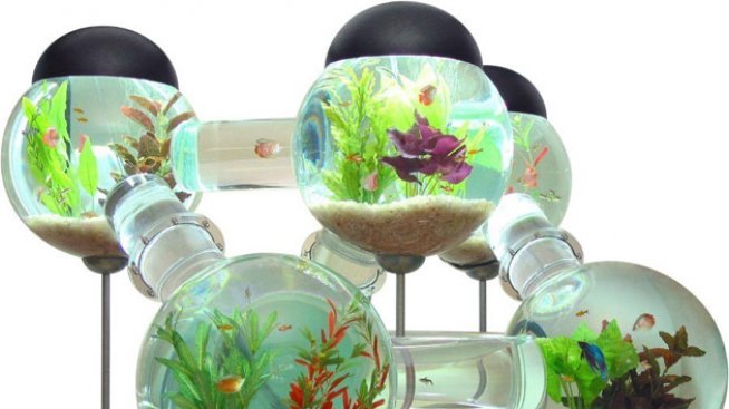 Страхотни аквариуми с изумителен дизайн