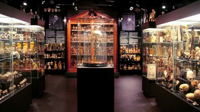 Най-странните музеи в Амстердам