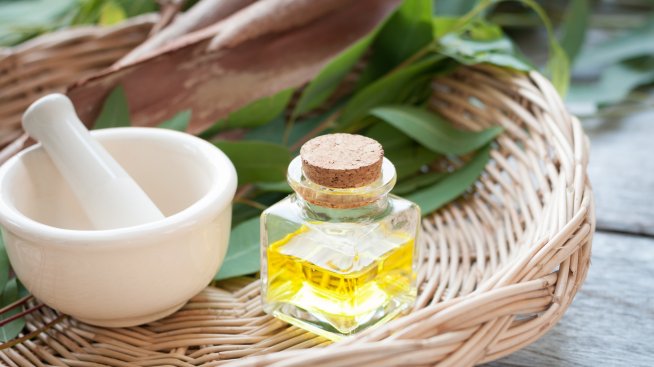 Маслото от евкалипт лекува рани и изгаряния