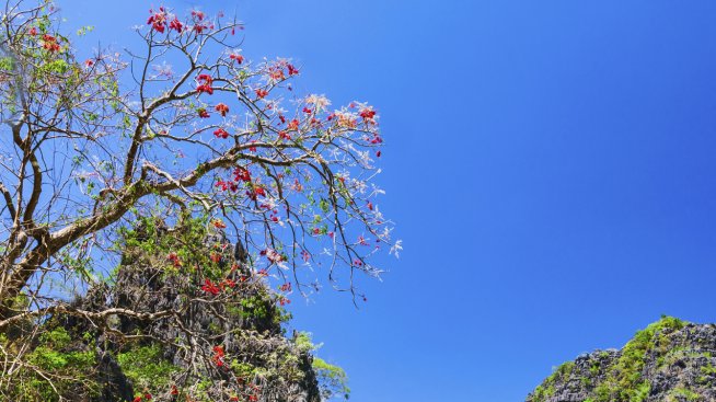 Интересни факти за Филипините – част първа