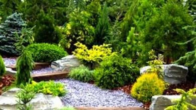 Оригинални идеи за дворни пътеки