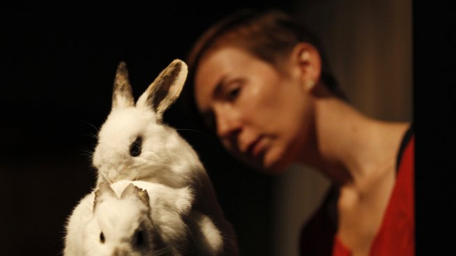 Порнографията е опасна: Причинява импотентност