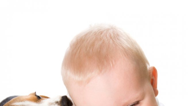 Как да запознаете кучето с вашето бебе