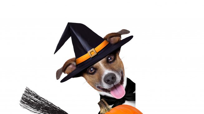 Защо Хелоуин е най-надценяваният празник