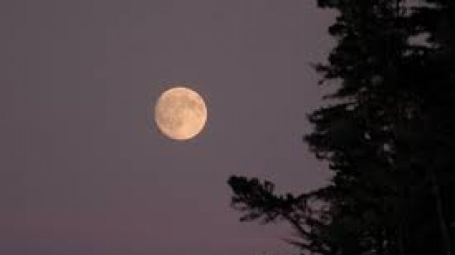 Какво разкрива за вас лунния ви знак?