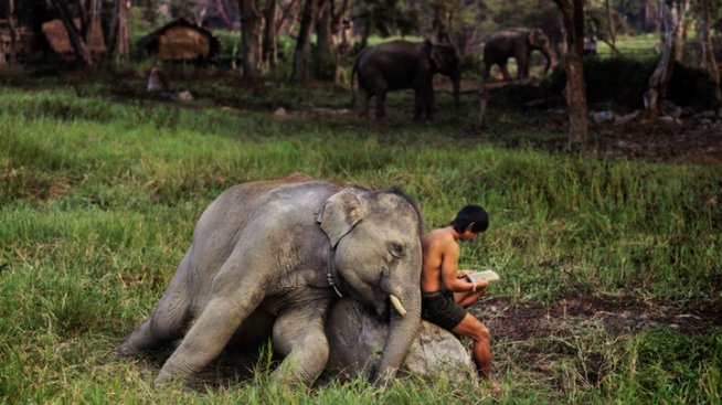 Уловени парченца вечност