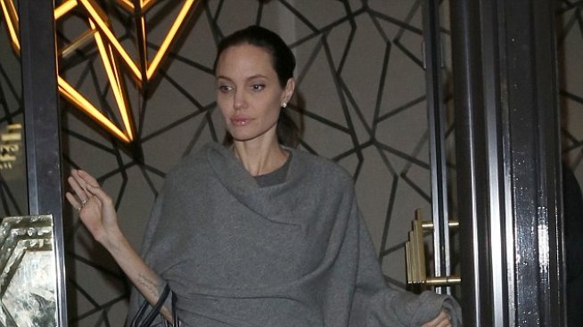 Джоли в сиво: Политическата ѝ ангажираност продължава