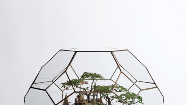 Добре дошли в кралство Бонсай!