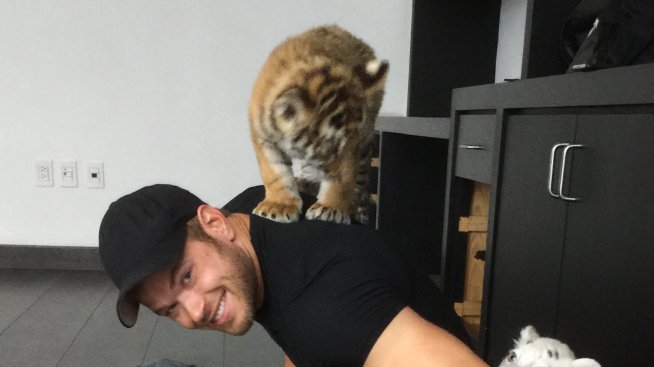 Келън Луц безстрашно се гушка с тигри и лъвове