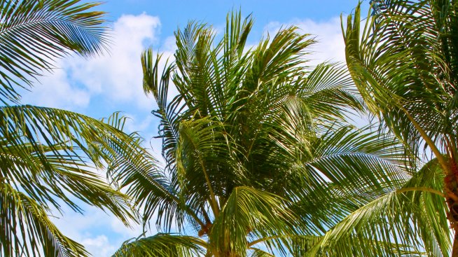 С жена на палатка