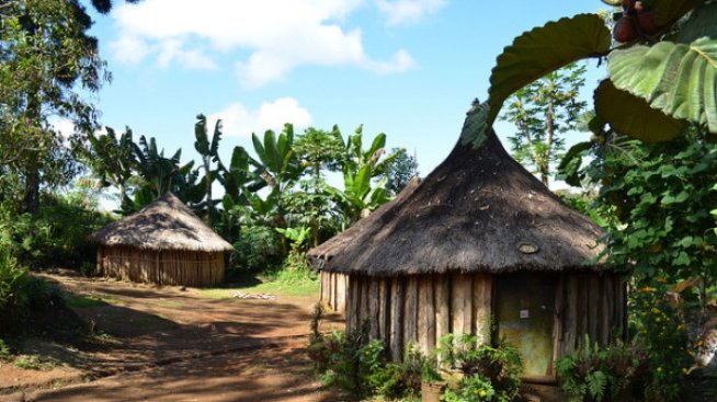 Интересни факти за Папуа Нова Гвинея