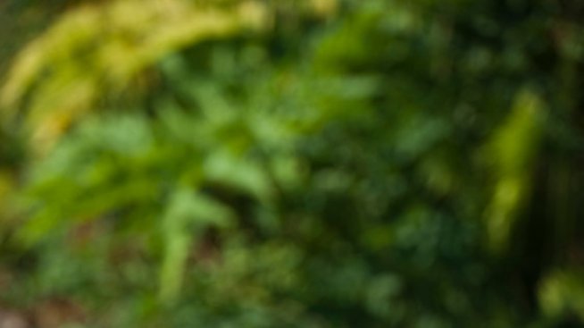 Какво трябва да знаем за растителните масла?