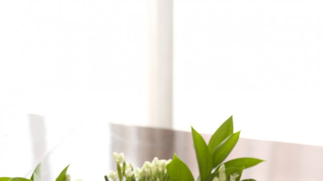 Безвредни ли са боите за яйца