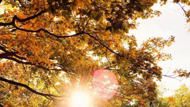 Дневният ви хороскоп за 24 септември