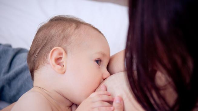 Мъжката мания по големи гърди се дължи на хормони