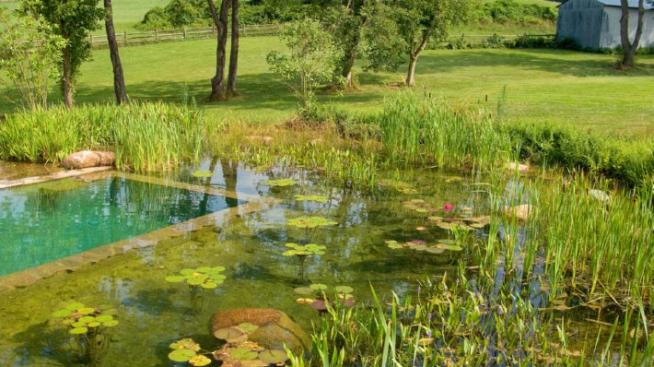 Басейни, или истински езера?