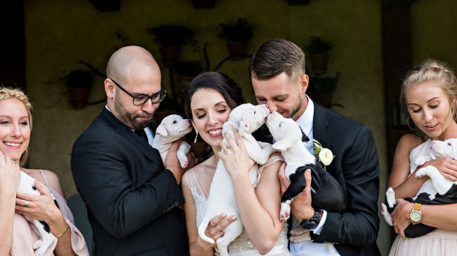 На сватба: С кученца, вместо с букети