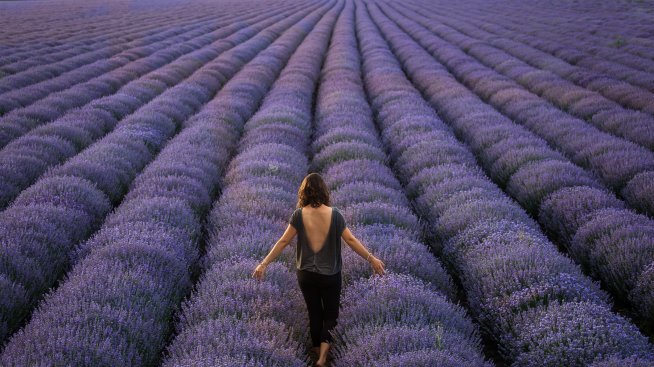 Билките, подходящи за всяка зодия (1 част)