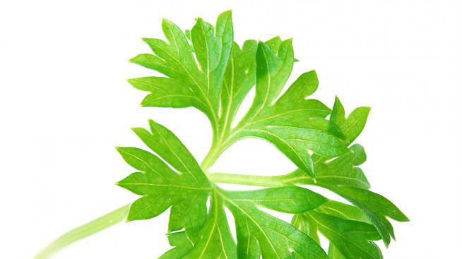 Магданозът и целината са полезни за здравето на жената