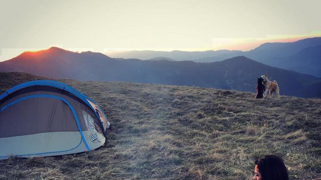 Бременната Преслава замени лукса на хотелите с палатка