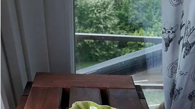 Кокосови сладки без захар и брашно