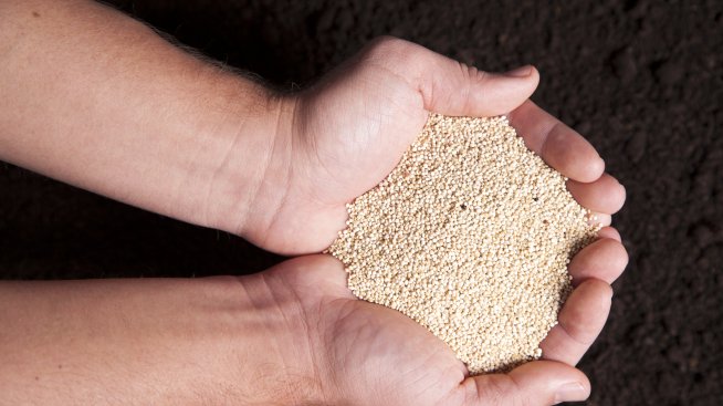 Вашият пътеводител за пълнозърнестите храни