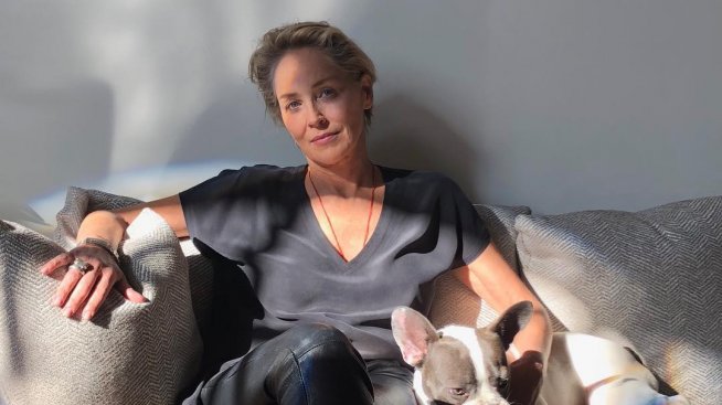 Шарън Стоун – по-секси от всякога