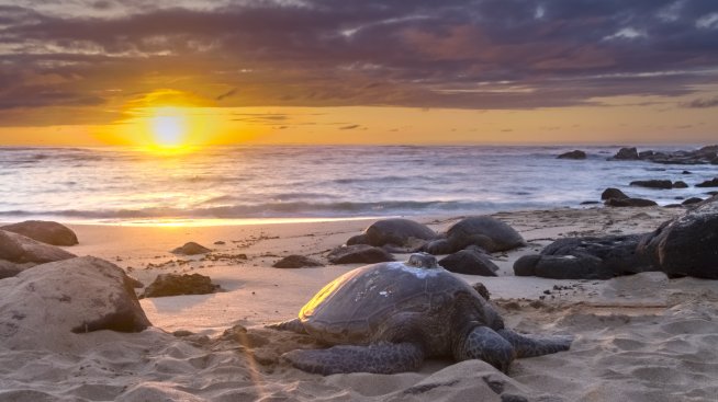 Интересни факти за Ямайка – част втора