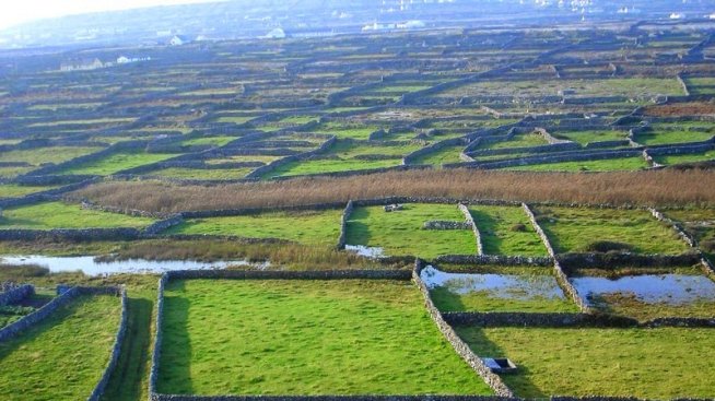 Каменните зидове на Ирландия