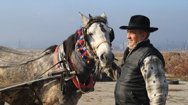 Роми и звезди се събират под един покрив в ново риалити