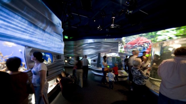 Воден свят от нови технологии