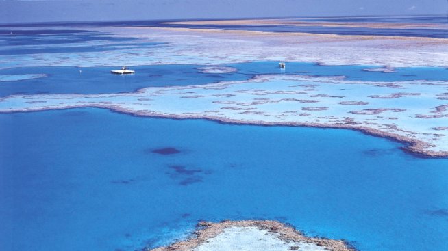 Мезонет на края на света