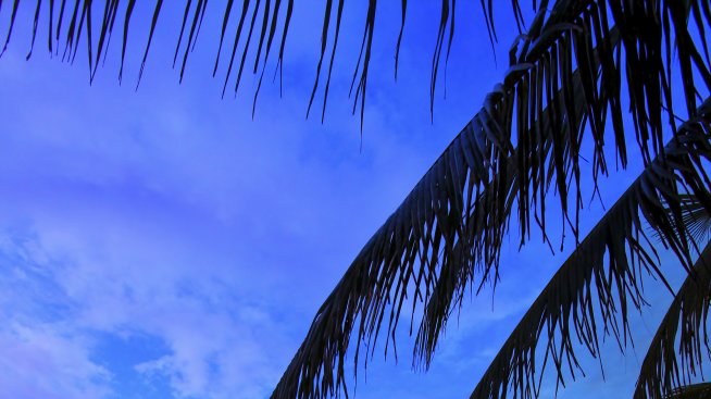 Интересни факти за Пуерто Рико