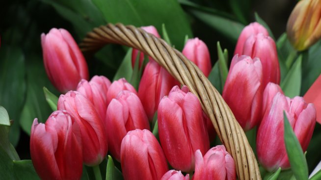 Хороскопът ви за 14 април