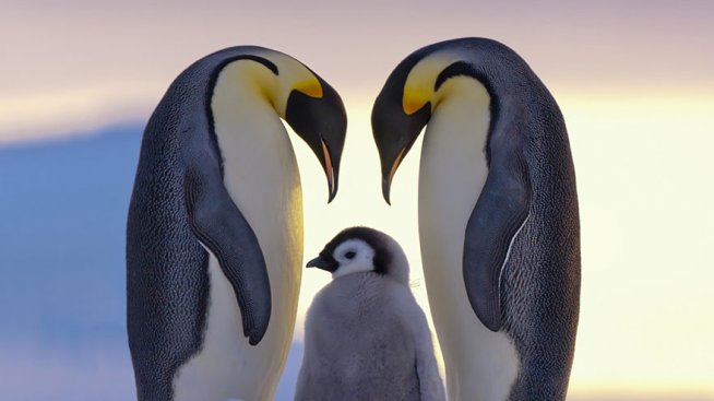 Снимките, които ще стоплят душата ви