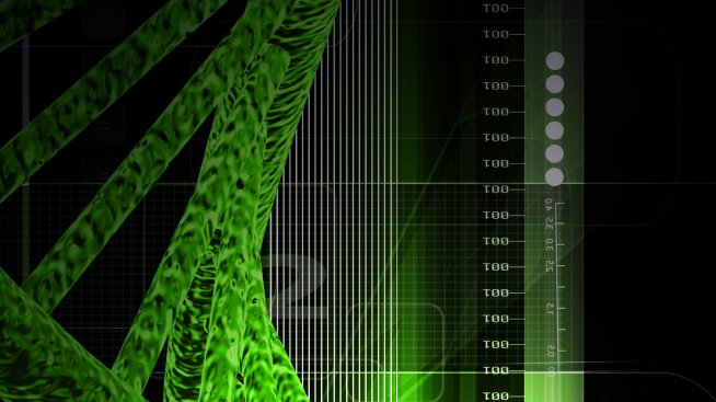 Идеалната диета за твоите гени