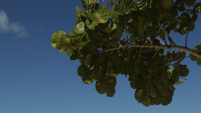 Какво да носим в плажната си чанта?