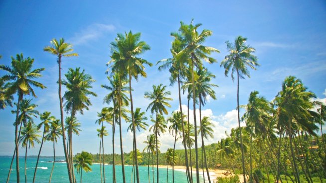 Най-добрите бутикови хотели в Шри Ланка