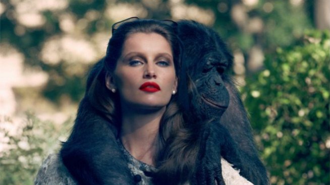 Красавицата и шимпанзето