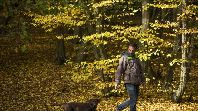 Мъжка хитрост: На „лов“ за жени с куче