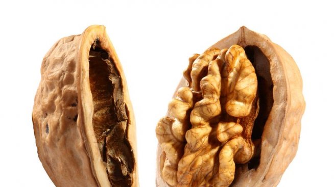 Орехът – царят на ядките