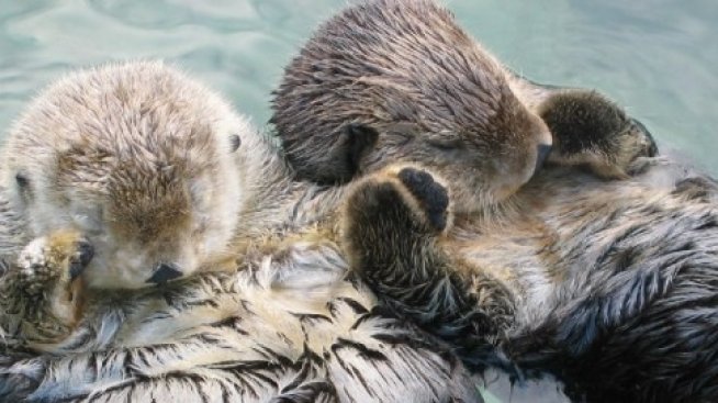 Ръка за ръка заедно към хедонизма