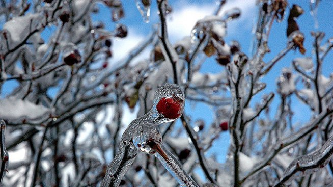 Ледена буря – разкош в опустошението