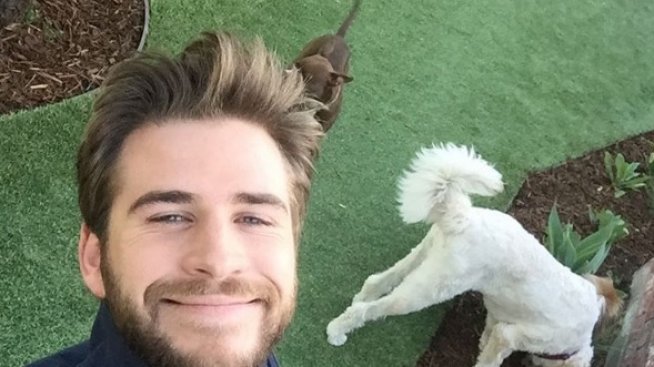 Лиъм Хемсуърт е най-сексапилният веган