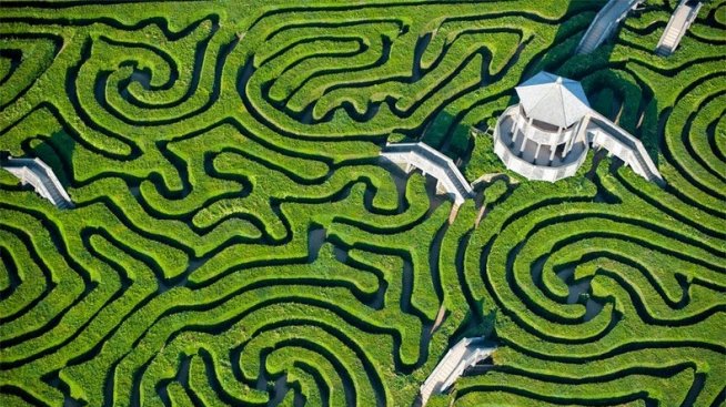 Най-дългият лабиринт от жив плет в света