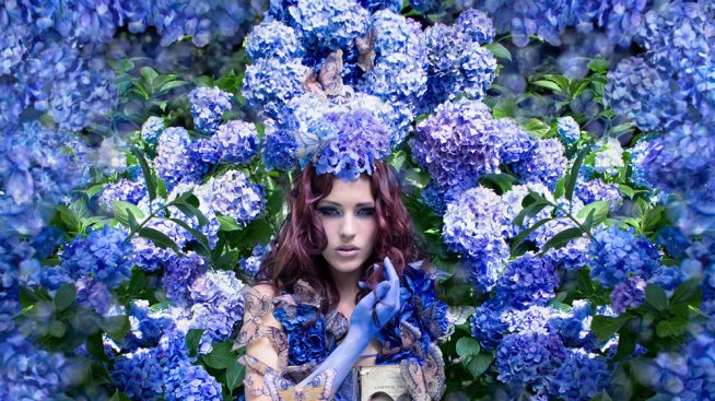 Страната на чудесата в люляков нюанс