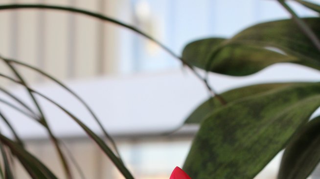 Днес пробвам: Make Up For Ever Artist Rouge Mat