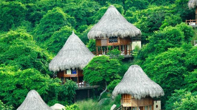 Колумбийското светилище - дом стотици растения и животни