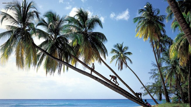 Горещите дестинации за студеното време  (част втора)