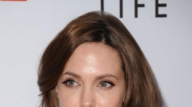 Цеца ще съдейства на Анджелина за филма